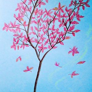 东北帅小伙GayVⅰdiσ
